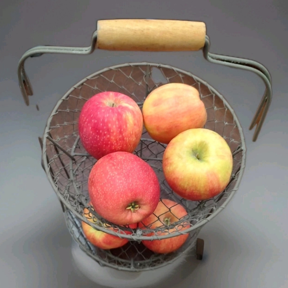 2 Tier Chicken Wire Look Caddy/Basket Wooden Top Handle & Feet Shabby/Farm Style - Picture 2 of 7